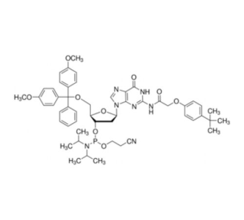 DMT-dG (tac) Фосфорамидит, настроенный для ABI Sigma G11203-HH