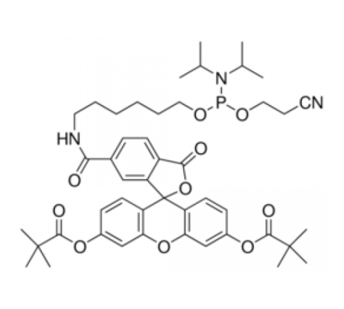 6-Флуоресцеинфосфорамидит, настроенный для PerkinElmer, настроенный для Polygen Sigma M041180