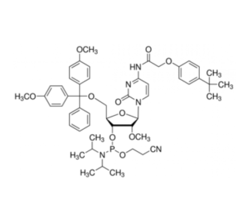 DMT-2'O-Methyl-rC (tac) Фосфорамидит, настроенный для ABI Sigma C21213-HH