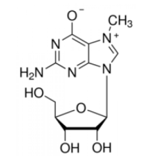 7-метилгуанозин 90% Sigma M0627