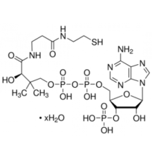 Коэнзим A гидрат 85% (УФ, ВЭЖХ) Sigma C4282