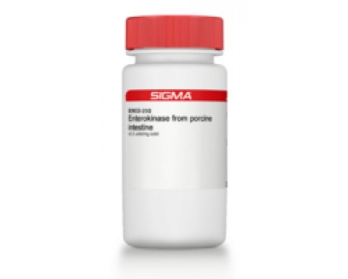 Энтерокиназа из кишечника свиньи 0,5 Единиц / мг твердого вещества Sigma E0632