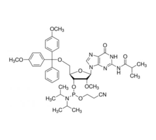 DMT-2'O-Methyl-rG (ib) Фосфорамидит, настроенный для ABI Sigma G21113-HH