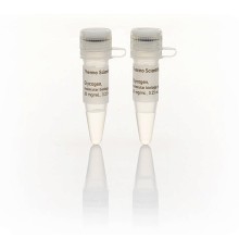 Гликоген, для работы с ДНК, 20 мг/мкл, Thermo FS